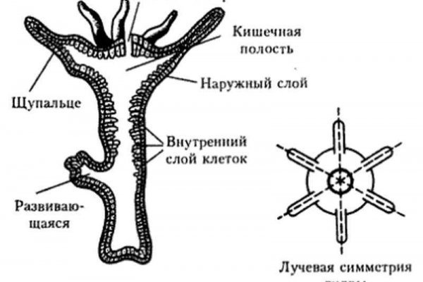 Ссылка кракен kraken014 com