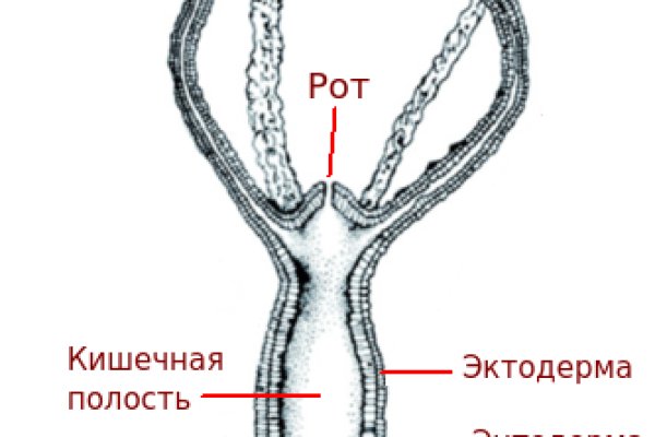 Кракен продает наркотики